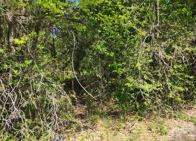 Property at TBD Lazy Launch, Mabank, TX 75156