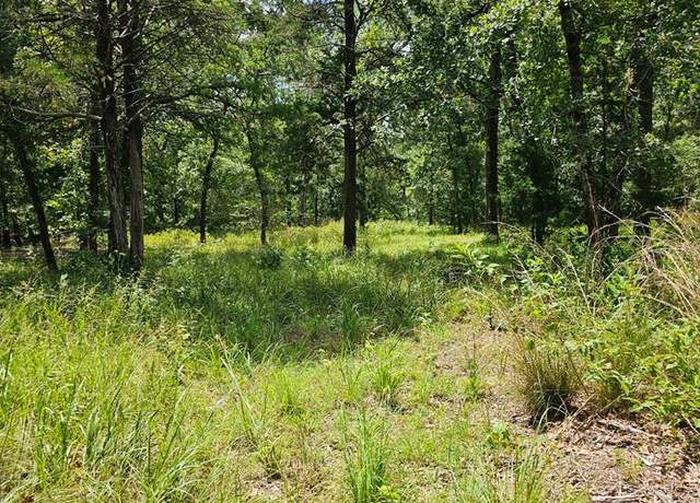 Property at Lot 377 Timber Rdg, Larue, TX 75770