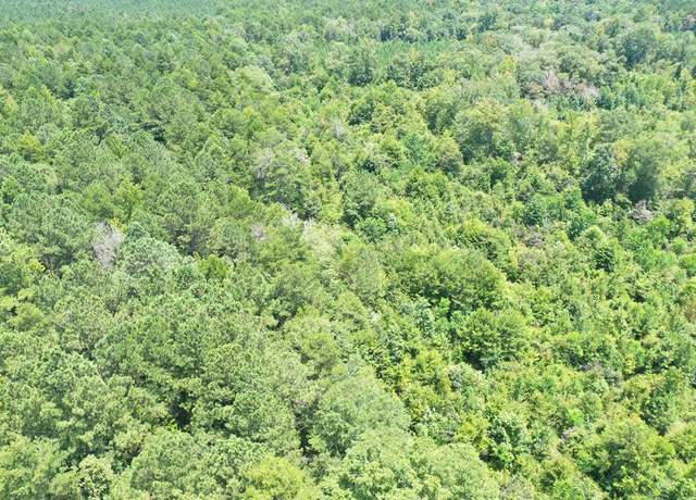 Property at 648 Cr 277, Vossburg, MS 39366