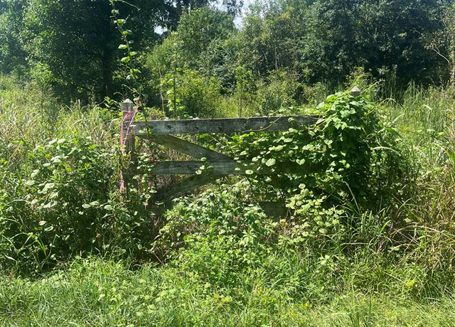 Property at TBD George Boutwell Rd, Ovett, MS 39443