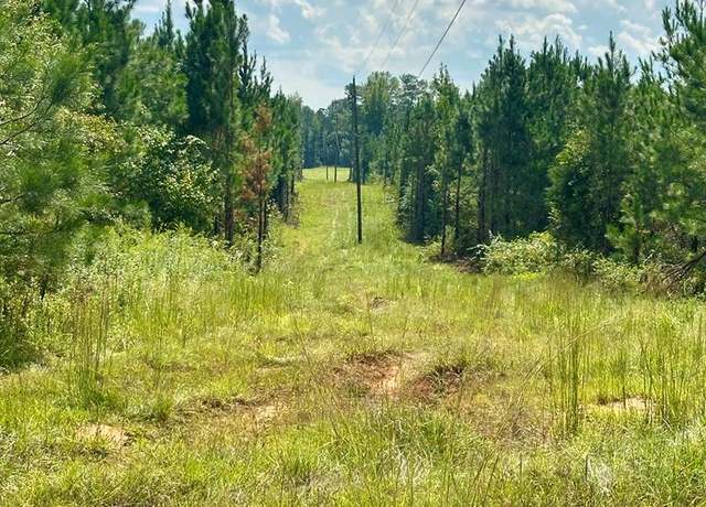 Property at N/A Bethel Rd, Louisville, MS 39339