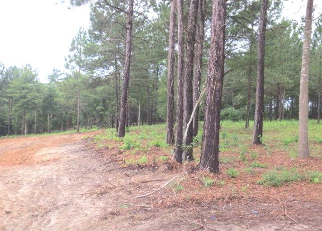 Property at 50 Tillery Pl, Ellisville, MS 39437