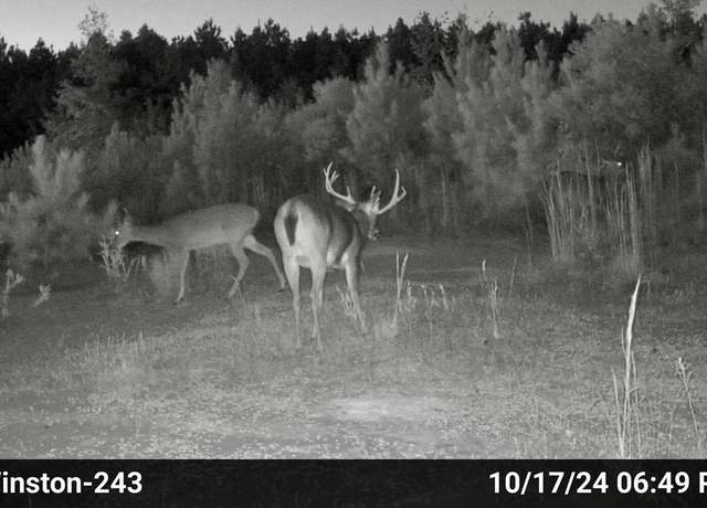 Property at n/a Vowell Town Rd, Louisville, MS 39339