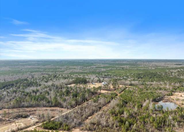 Property at 0 Cr 313, Heidelberg, MS 39439
