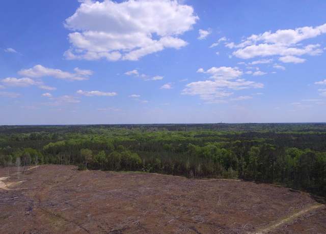 Property at 0 County Road 31, Heidelberg, MS 39439