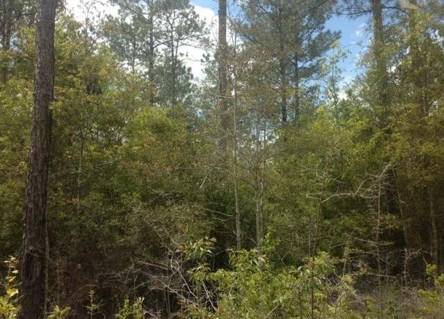 Property at TBD Turner St, Waynesboro, MS 39367
