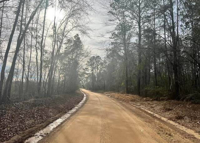 Property at -- Strickland Rd, Waynesboro, MS 39367