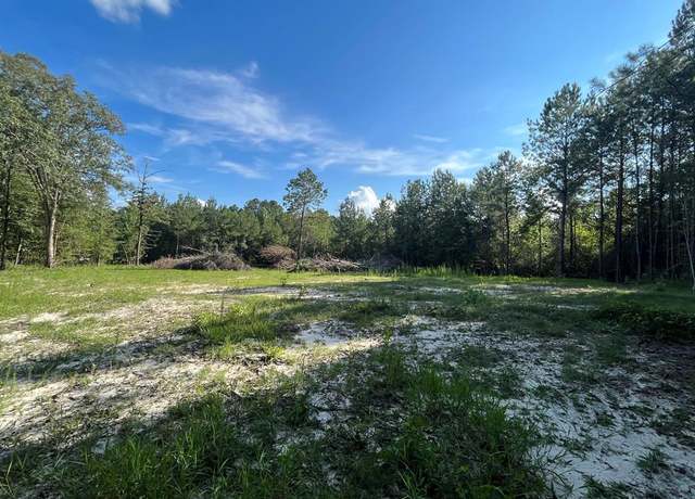 Property at NA Eucutta Sandersville Rd, Rural Wayne County, MS 39360