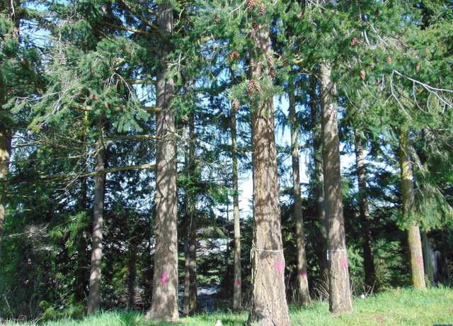 Property at NKA Ridgetop, Sequim, WA 98382