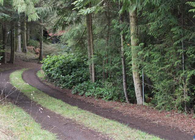 Property at NKA Gasman, Port Angeles, WA 98362
