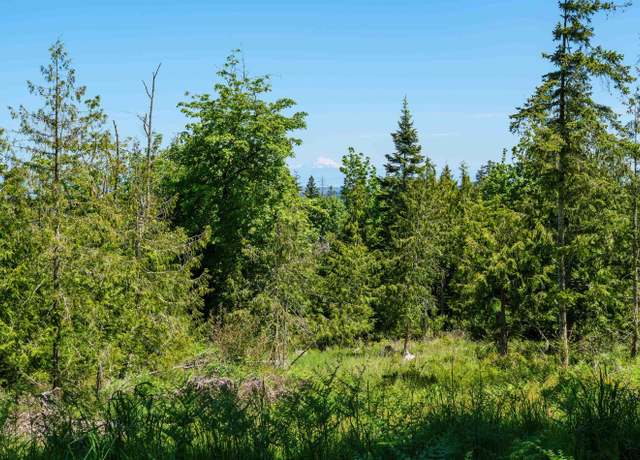 Property at Little Loop Dr, Port Angeles, WA 98362