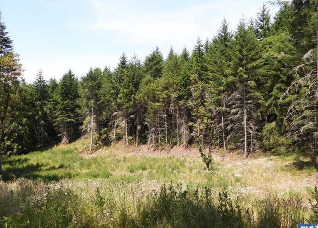 Property at Lot 1 Kirner Rd, Sequim, WA 98382