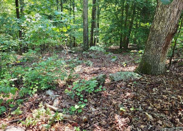 Property at 0 Weanock Ln, Ebony, VA 23845