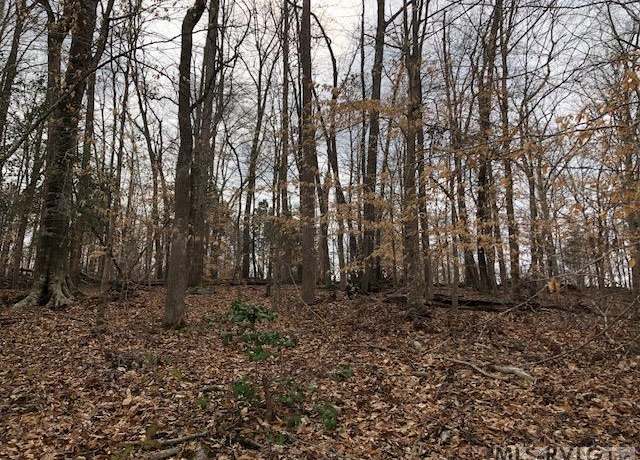 Property at Lot 20 Barker Rd, Ebony, VA 23845