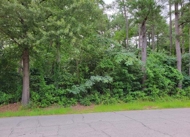 Property at 0 Virginia Ave, Roanoke Rapids, NC 27870