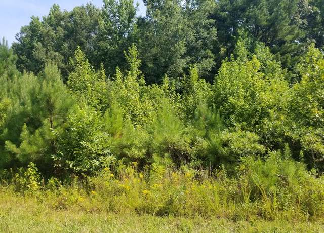 Property at Lot # 12 Arbor Dr, Roanoke Rapids, NC 27870