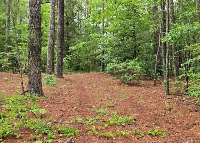 Property at 290 South Belmont Dr, Henrico, NC 27842