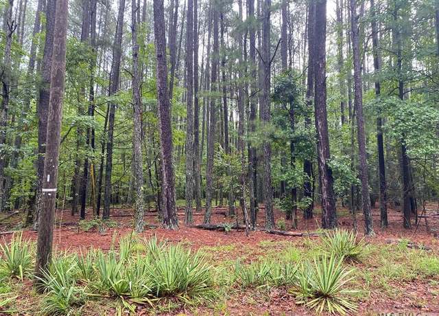 Property at lot 1 Hinton Mill Rd, Boydton, VA 23917