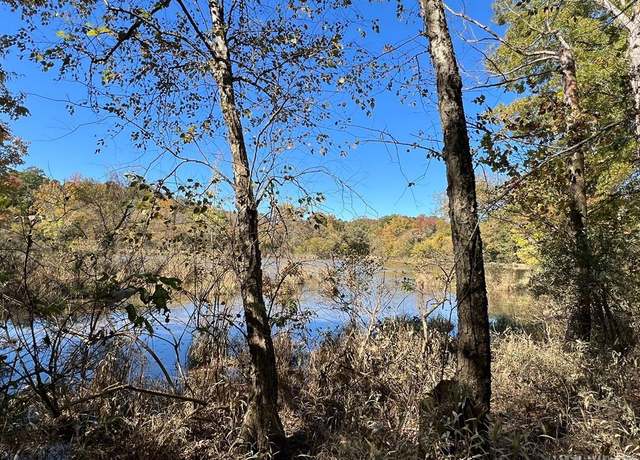 Property at 147 Peninsula Ln, Bullock, NC 27507