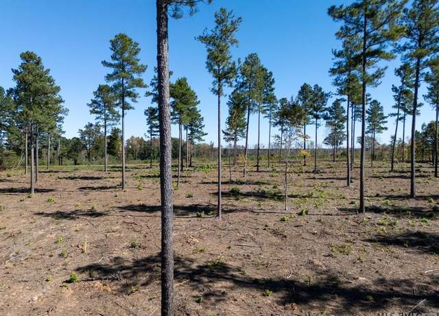 Property at Lot 2 Christianna Hwy, Lawrenceville, VA 23868