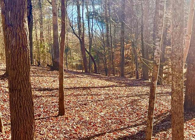 Property at 46 Buckhead Dr, Bracey, VA 23919
