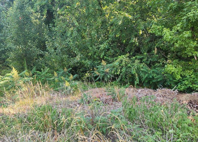 Property at Lot 14 Stoney Brook Dr, Roanoke Rapids, NC 27870