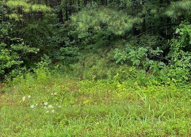 Property at 000 Lawrenceville Plank Rd, Lawrenceville, VA 23868