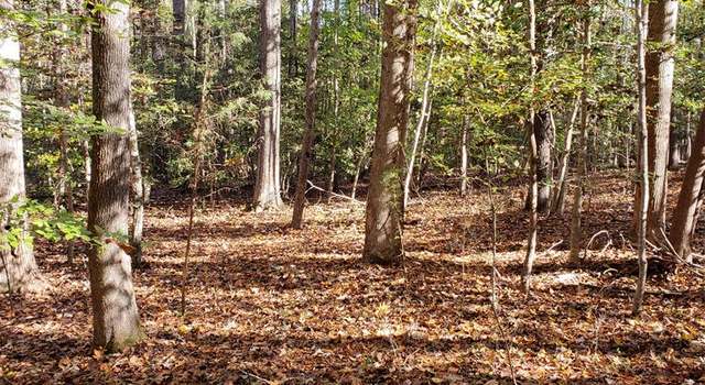 Photo of Lot 29 Section B, Gasburg, VA 23857