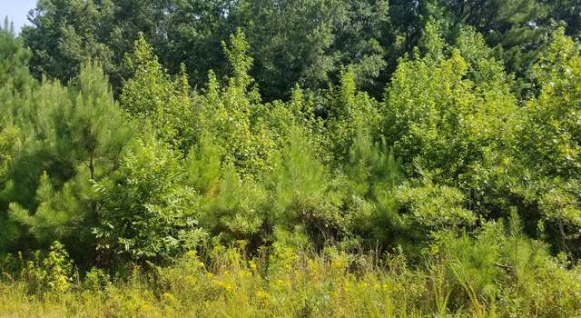 Photo of Lot # 12 Arbor Dr, Roanoke Rapids, NC 27870