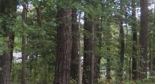 Photo of 00 Country Club Rd, Weldon, NC 27890