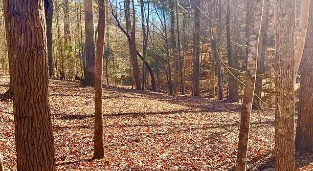 Photo of 46 Buckhead Dr, Bracey, VA 23919