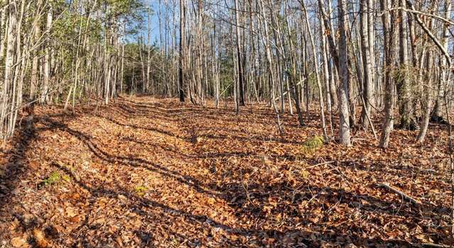 Photo of 000 Pocahontas Rd, Freeman, VA 23856