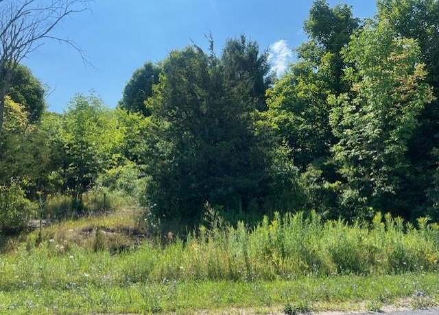 Property at 0 River Rd, Redwood, NY 13679