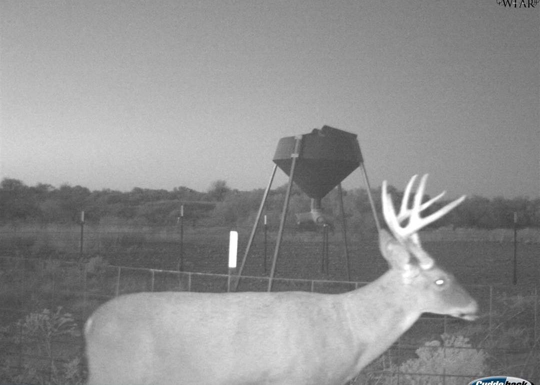 TBD Fm 367, Electra, TX 76360