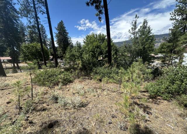 Property at 1363 Arthur Ct, Kettle Falls, WA 99141