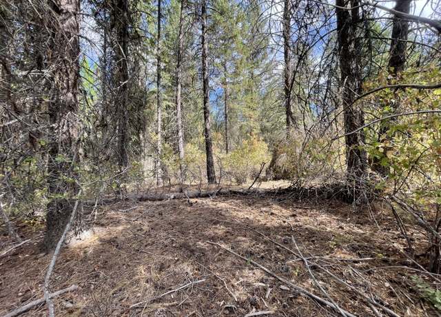 Property at 2X Lillooet Dr, Inchelium, WA 99138