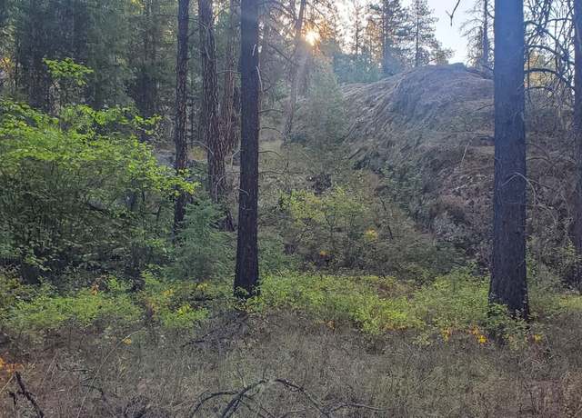 Property at 3733 XX Sand Creek RD Rd, Kettle Falls, WA 99141
