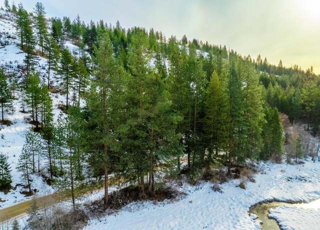 Property at 2529 Hall Creek Rd, Inchelium, WA 99138