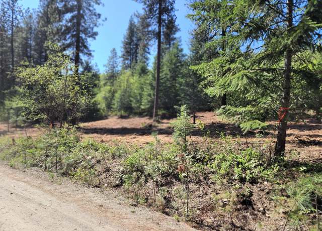 Property at TBD Columbia Dr, Kettle Falls, WA 99141