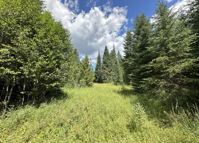Property at 3331 Deep Lake Boundary Rd, Colville, WA 99114