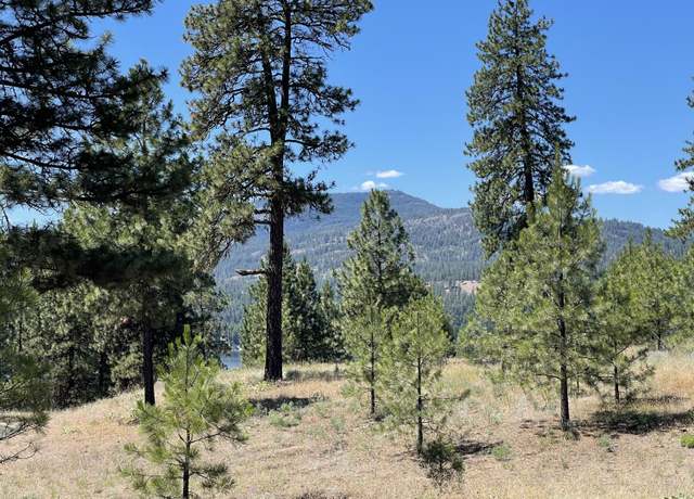 Property at 1319 Sunset Way, Kettle Falls, WA 99141