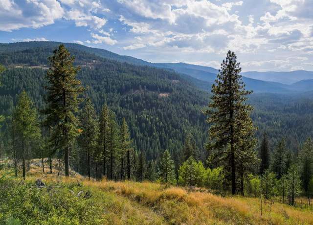 Property at 5X Jacknife Lookout Rd, Kettle Falls, WA 99141
