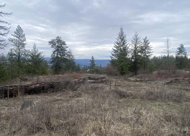 Property at TRACT 2 Cowboys And Angels Ave, Kettle Falls, WA 99141