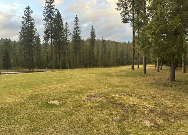 Property at 300 Palmer Ln, Chewelah, WA 99109