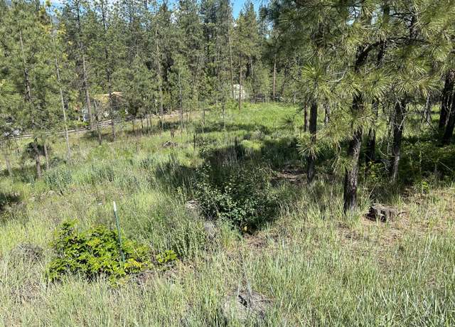 Property at 1181- 1179 Fumi Cir, Kettle Falls, WA 99141