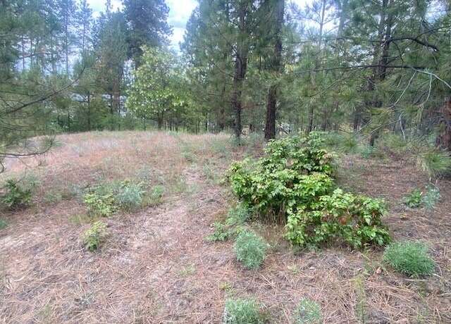 Property at 1390 Lookout Point Way, Kettle Falls, WA 99141