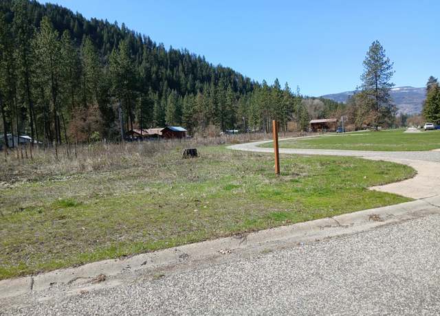Property at XXX Minter Ave, Marcus, WA 99151