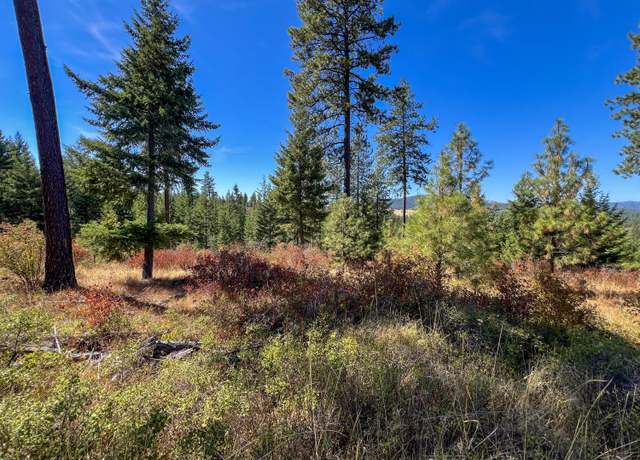 Property at 52XX S Lot 7 Swenson Rd, Deer Park, WA 99006