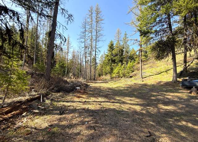 Property at TBD Giveout Creek Rd, Wauconda, WA 98859