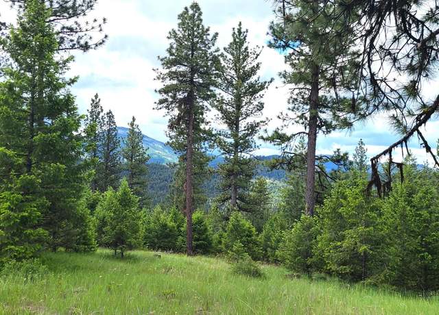 Property at TBD Old Kettle Falls Rd, Republic, WA 99166